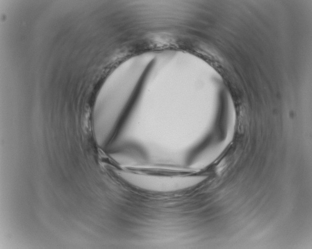 X0000069400417200606091746