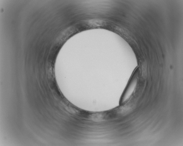 X0000069400418200606091746