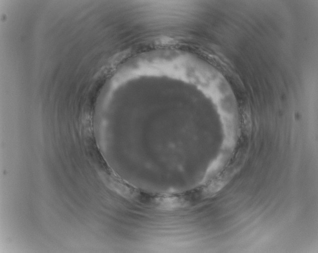 X0000069400419200606091746