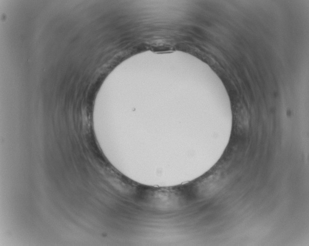 X0000069400420200606091746