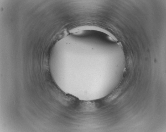 X0000069400421200606091746