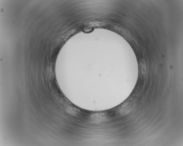 X0000069400422200606091746