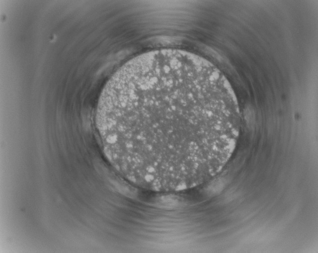 X0000069400423200606091746