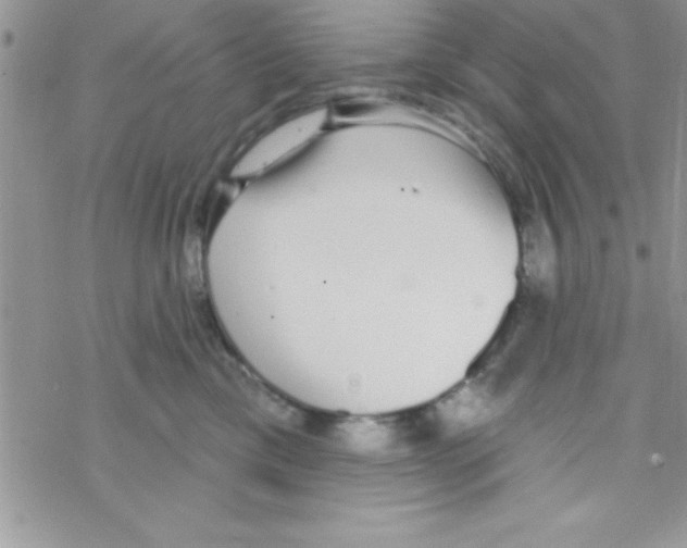 X0000069400425200606091746