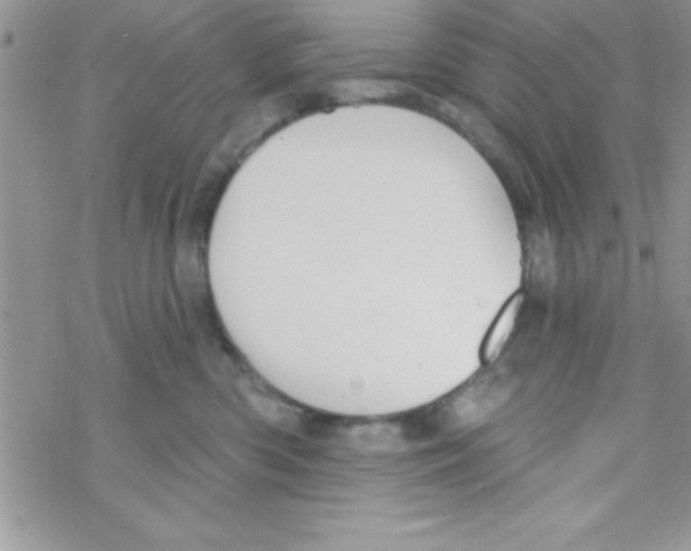 X0000069400426200606091746