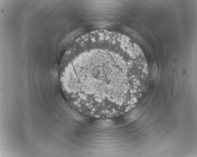 X0000069400427200606091746