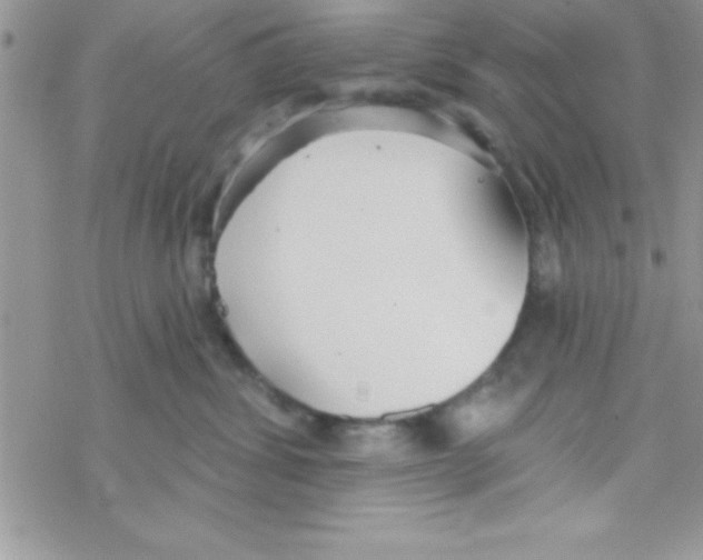 X0000069400428200606091746