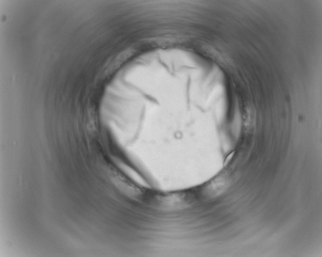 X0000069400430200606091746