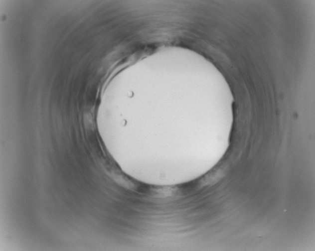 X0000069400432200606091746