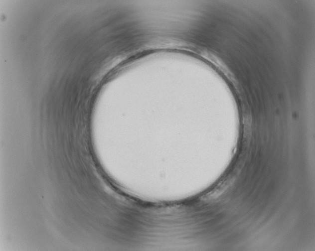 X0000069400433200606091745