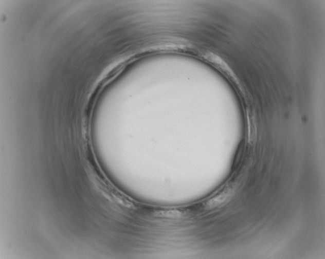 X0000069400435200606091745