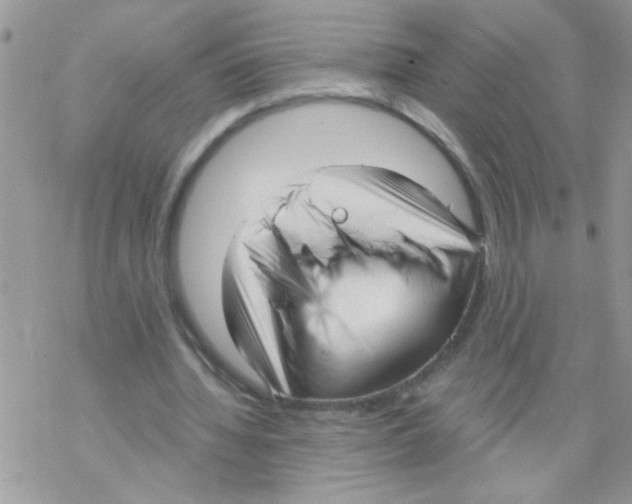 X0000069400436200606091745