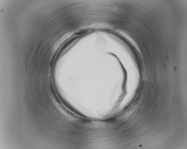 X0000069400437200606091745