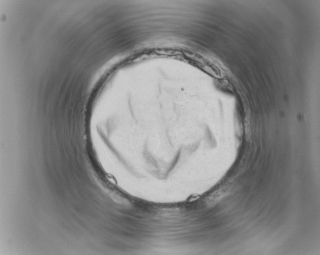 X0000069400438200606091745