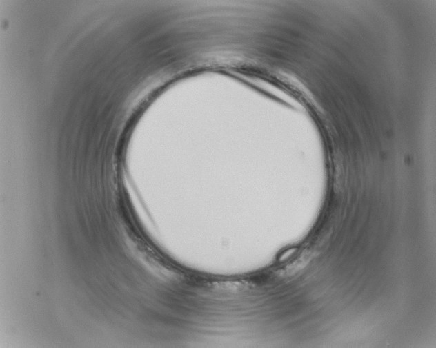 X0000069400439200606091745