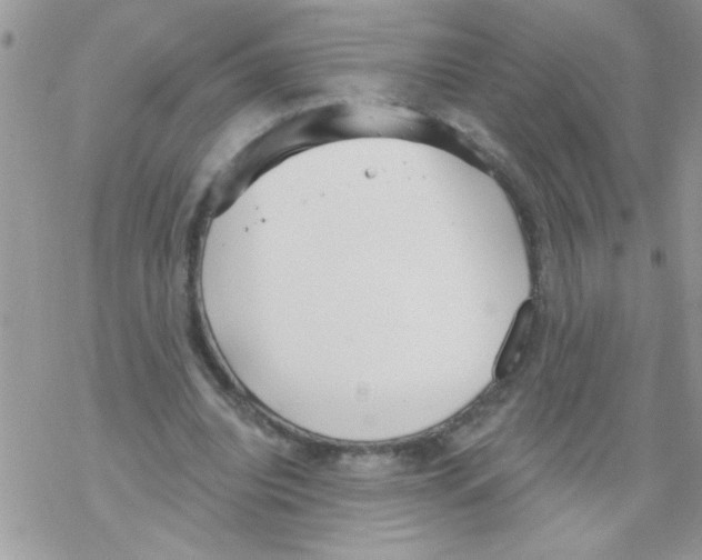 X0000069400440200606091745