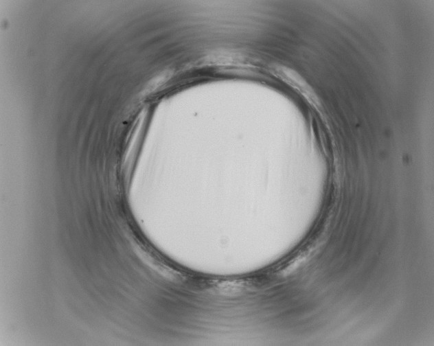 X0000069400441200606091745