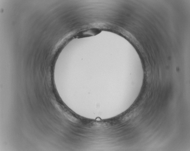 X0000069400442200606091745