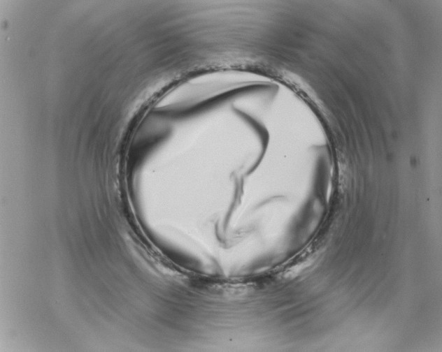 X0000069400443200606091745