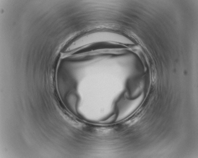 X0000069400444200606091745