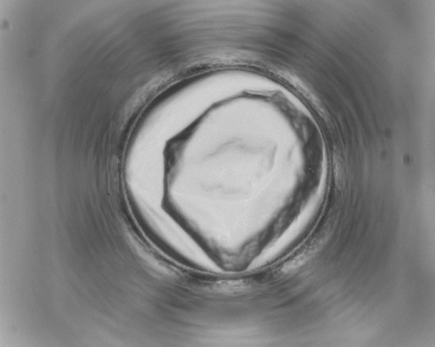 X0000069400445200606091745