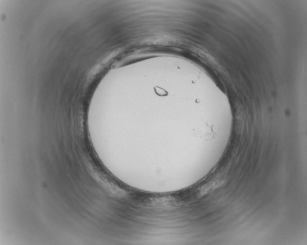 X0000069400446200606091745