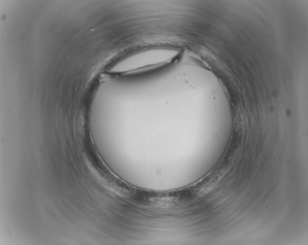 X0000069400448200606091745