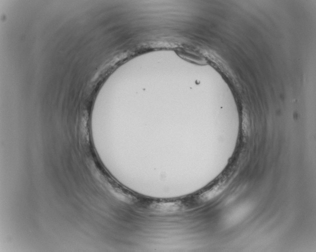 X0000069400449200606091745