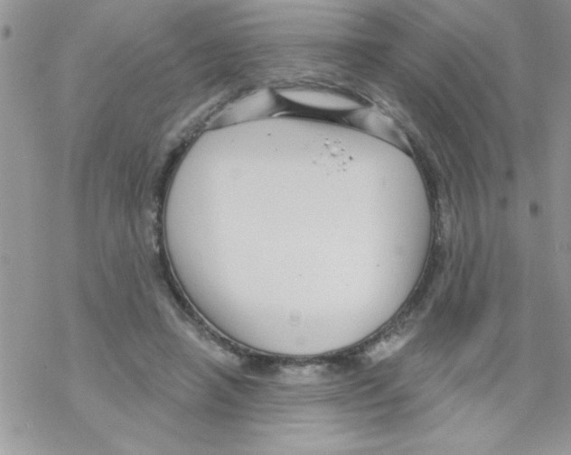 X0000069400450200606091746