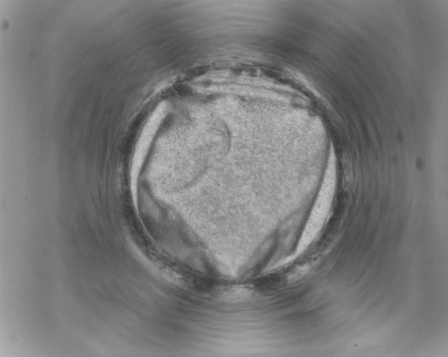 X0000069400451200606091746