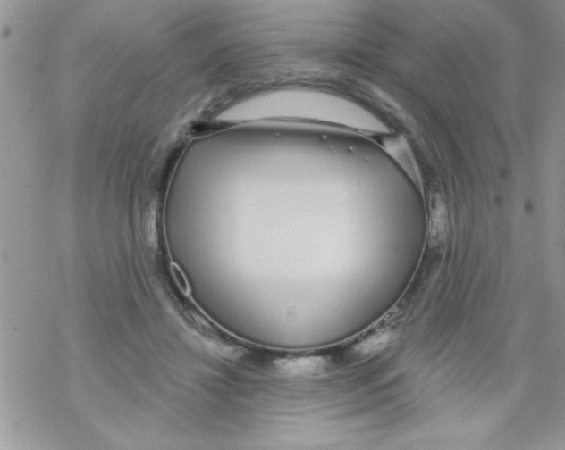 X0000069400452200606091746