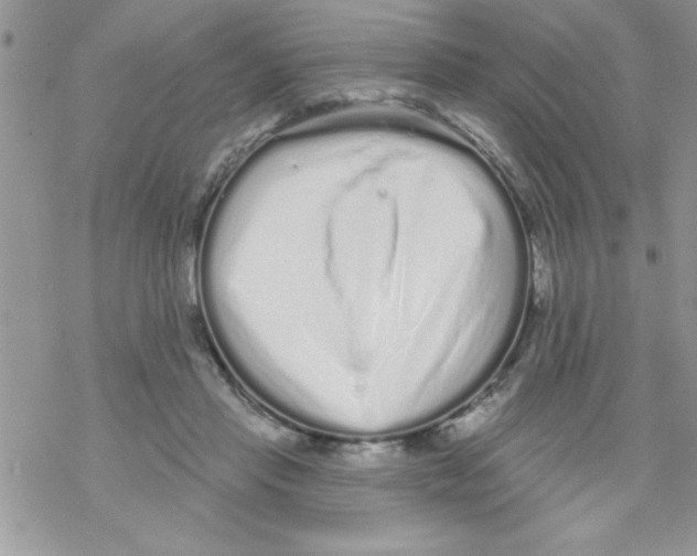 X0000069400453200606091746