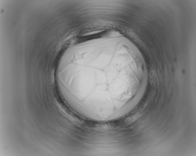 X0000069400454200606091746