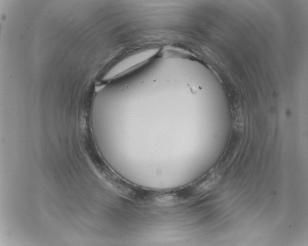 X0000069400456200606091746