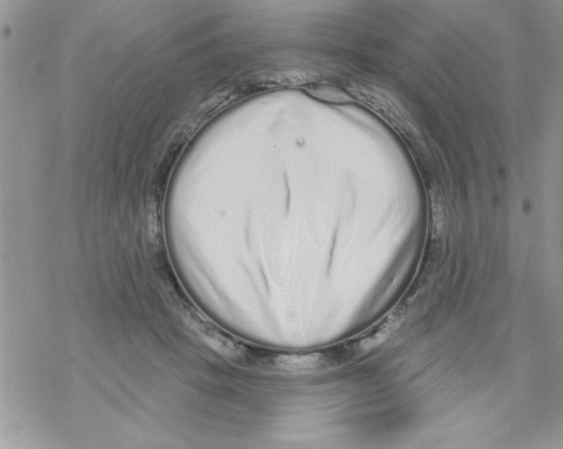 X0000069400457200606091746