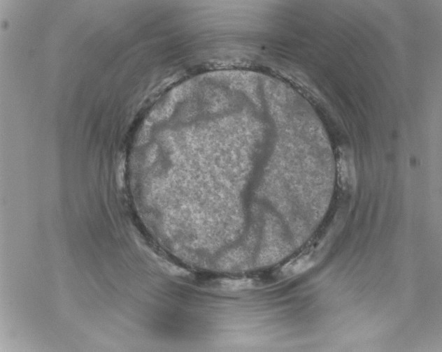 X0000069400458200606091746