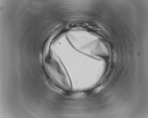 X0000069400459200606091746