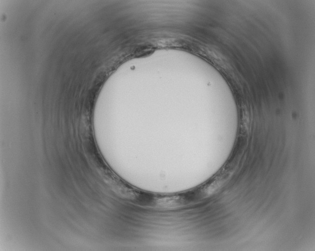 X0000069400461200606091746