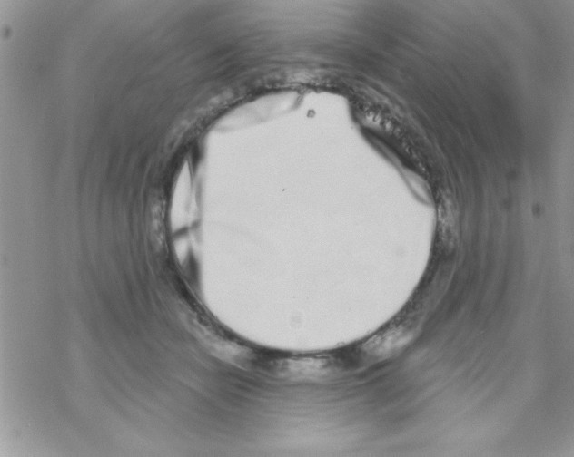 X0000069400462200606091746