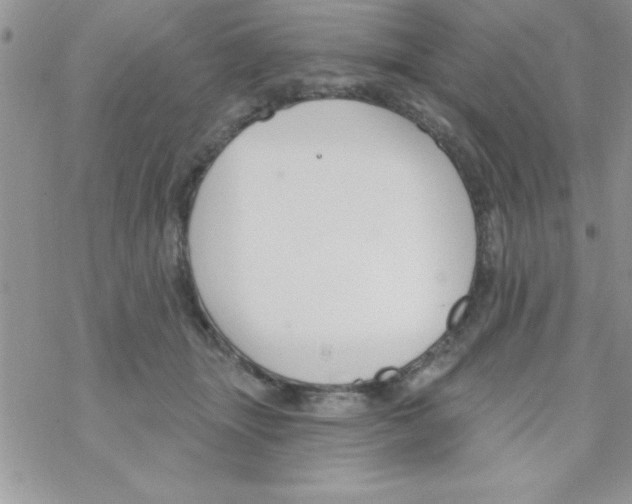 X0000069400463200606091746