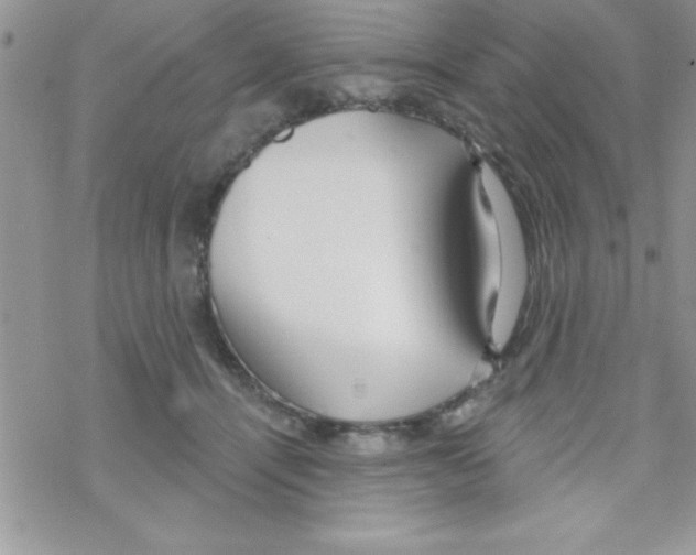 X0000069400464200606091746