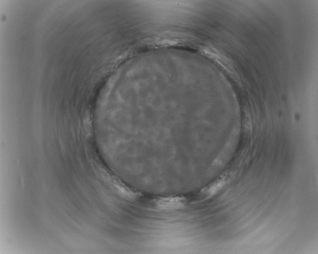 X0000069400465200606091746