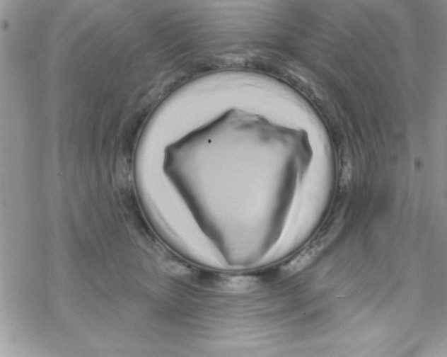 X0000069400467200606091746