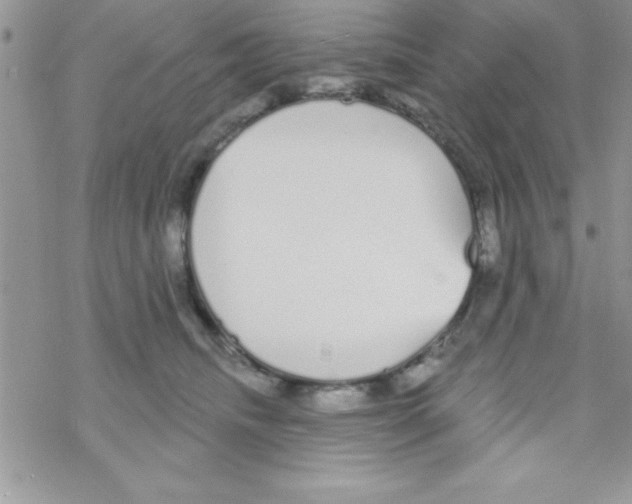 X0000069400468200606091746