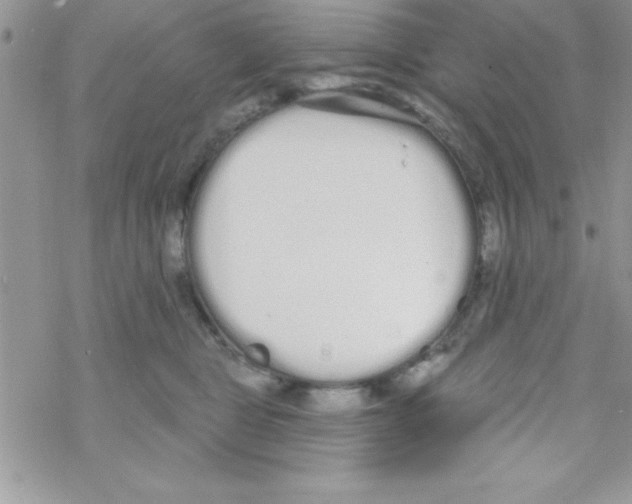 X0000069400469200606091746