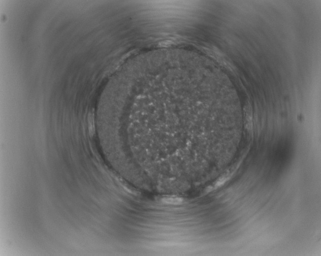 X0000069400471200606091746