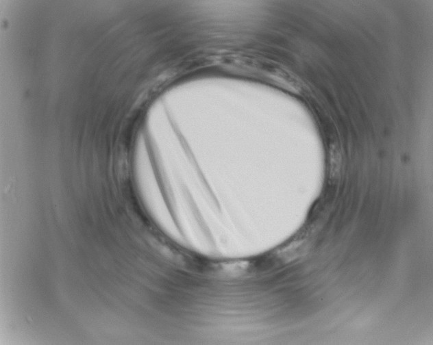 X0000069400474200606091746