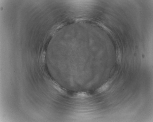 X0000069400475200606091746