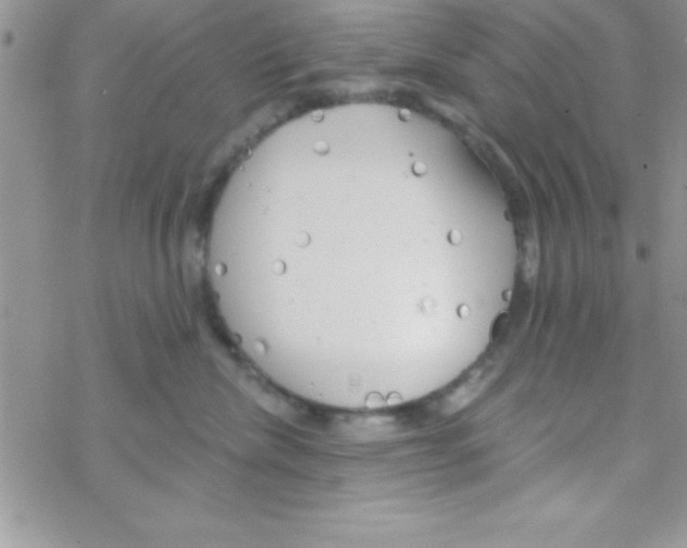 X0000069400476200606091746