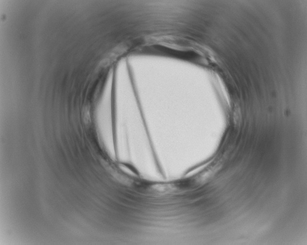 X0000069400477200606091746